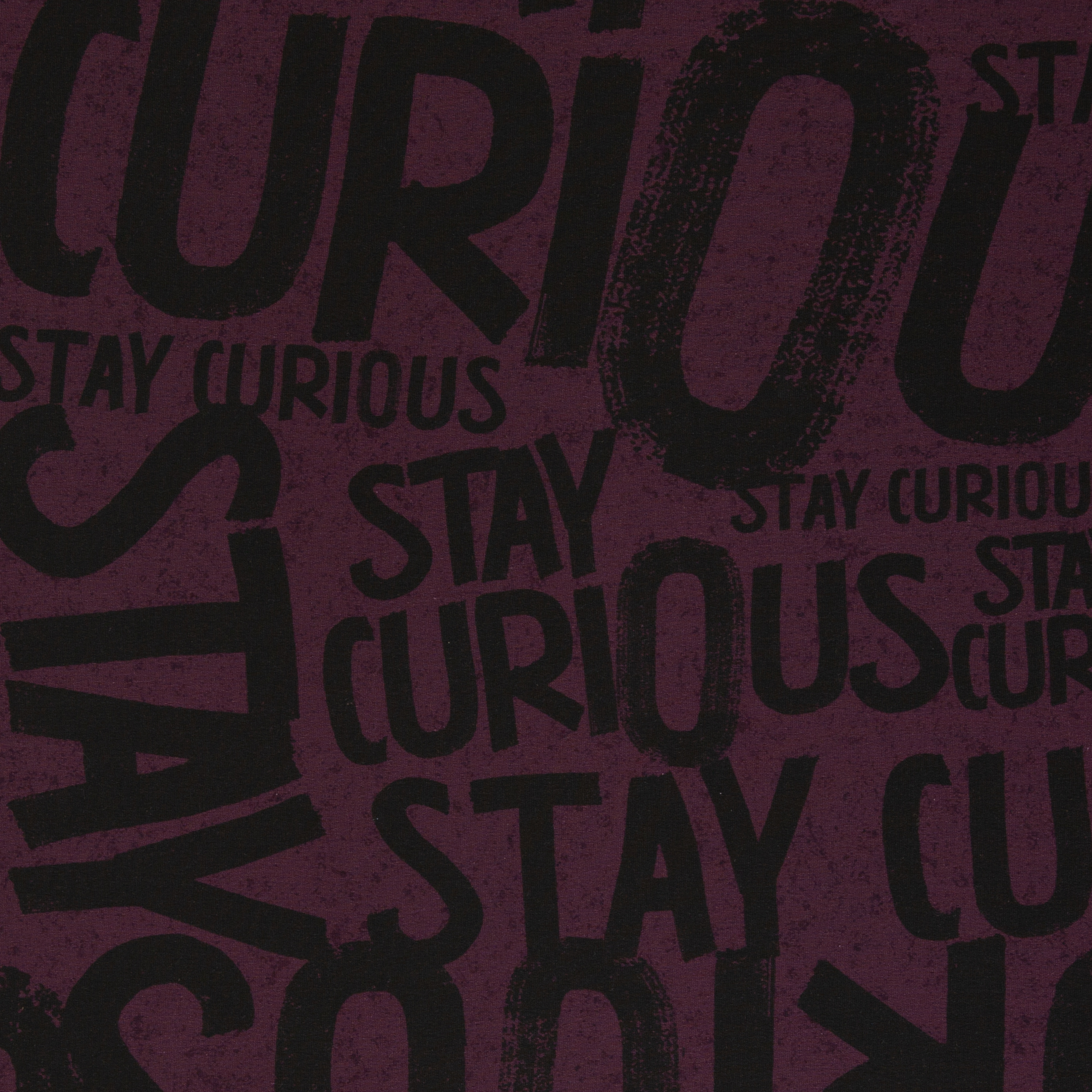 Stay Curious Schrift Beistoff