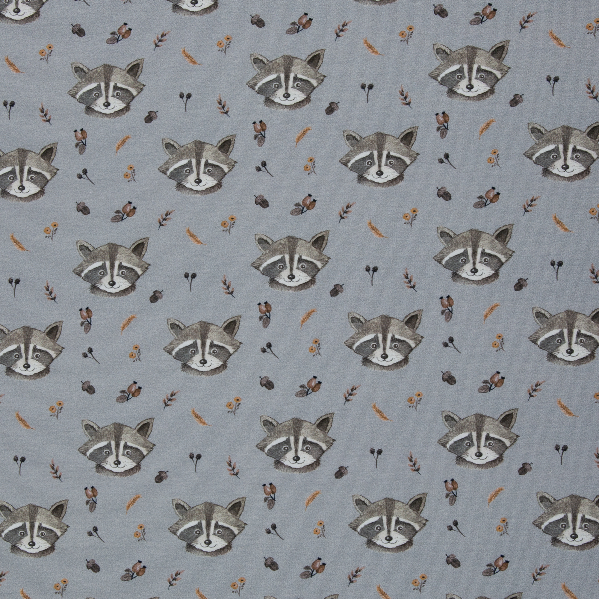 French Terry - Forest Friends - Waschbär grau